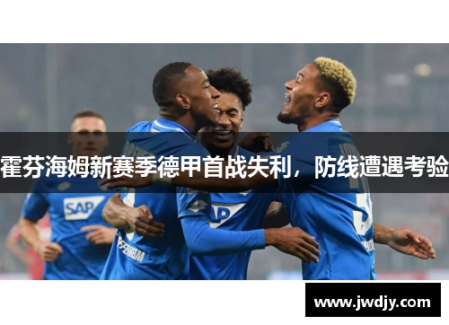 霍芬海姆新赛季德甲首战失利，防线遭遇考验